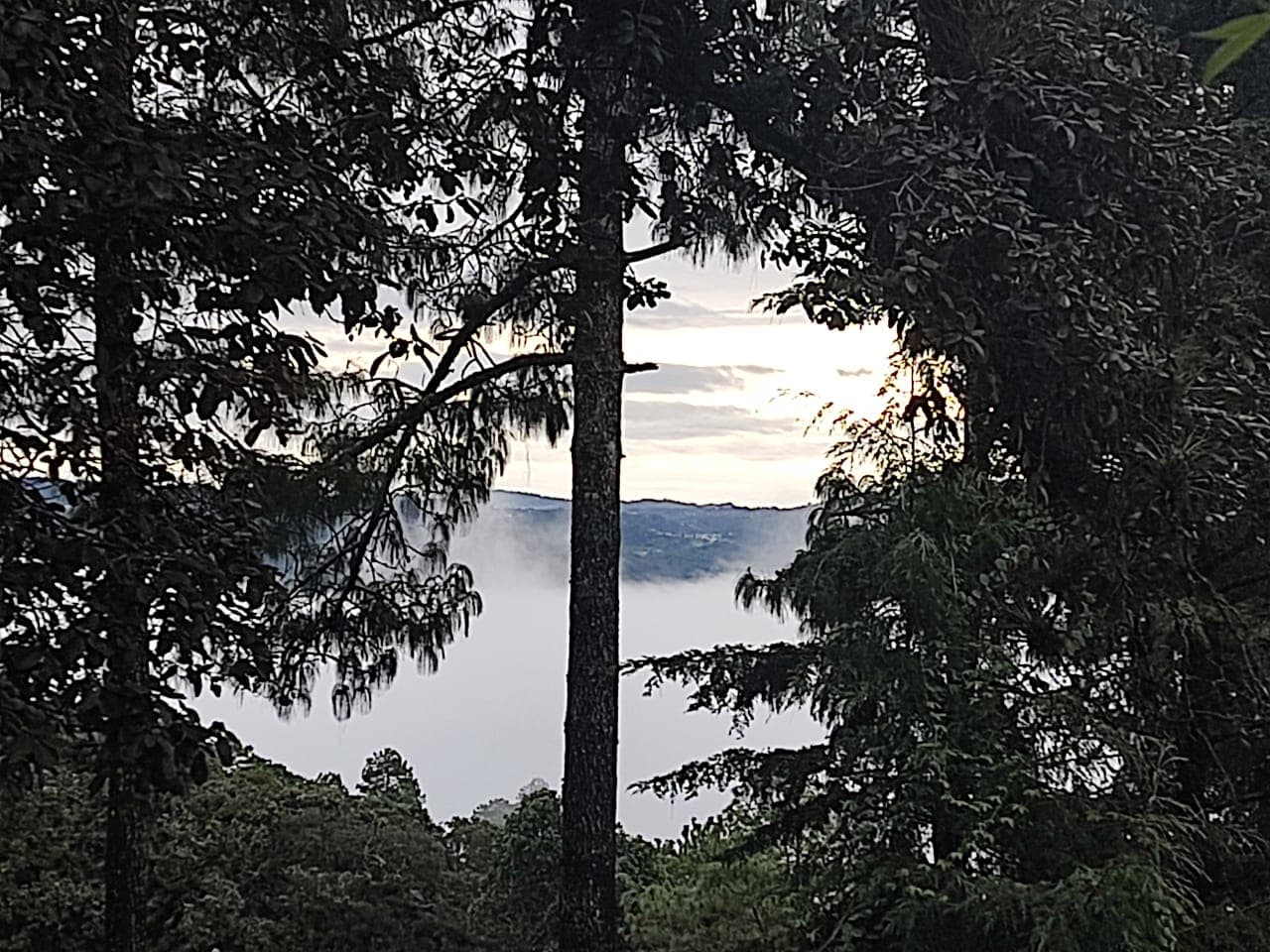 Tierras altas de San Cristóbal de las Casas, Chiapas, entre la niebla